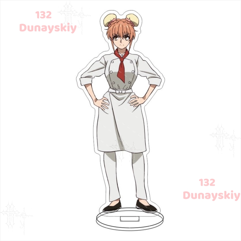 Anime Merchandise Women - Zweidimensionale Sammlerfigur aus Acryl: Iron Wok